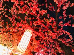 -小龙坎老火锅(金柏林店)