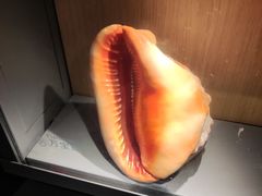 -中国湿地博物馆