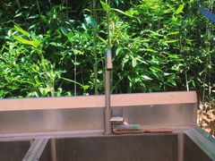 -杭州屏风山越野车营地·团建别墅轰趴民宿