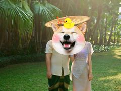 -海南清水湾莱佛士酒店