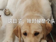 -共舞时光猫咖·狗咖(新街口店)