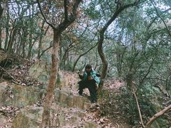 -杭州半山国家森林公园