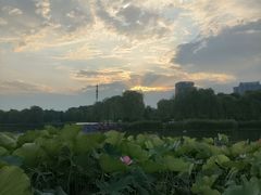 -西海子公园