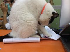 -北京博爱动物医院有限公司