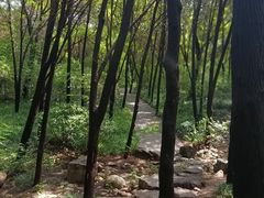 -千佛山风景名胜区