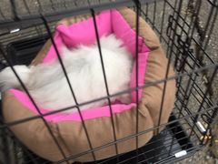 -佳百利宠物(荣乐中路115弄小区店)