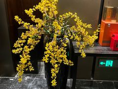 -沁园·珍藏湘味(芙蓉广场店)