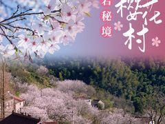 -四明山国家森林公园