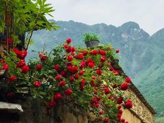 -萝卜寨羌文化生态旅游区