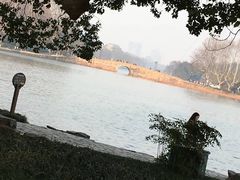 -西湖游船
