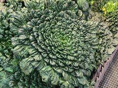 -果蔬好生活超市(东湖店)