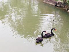 -径山花海