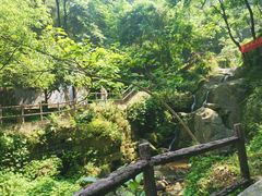 -南山植物园