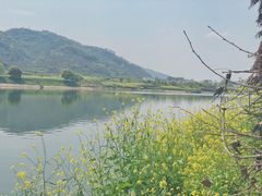 -新安江山水画廊风景区