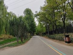 -永定河休闲森林公园