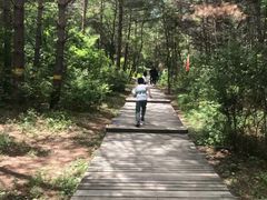 -帽儿山国家森林公园