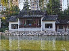 -团结湖公园