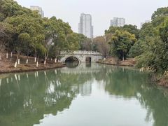 -八大山人梅湖景区