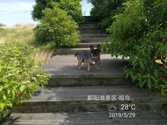 -鄱阳湖国家湿地公园