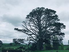 -霍比特人村