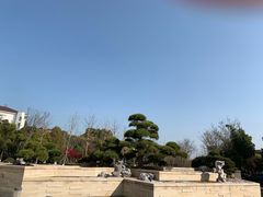 -东山矮马桶羊肉(太湖东山店)