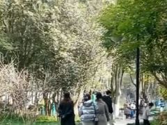 -瀛洲公园