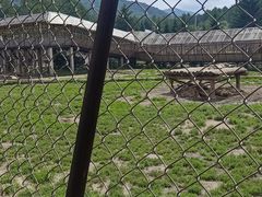 -横道河子东北虎林园