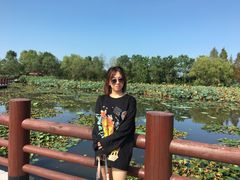 -长兴太湖图影湿地文化园