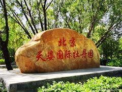 -太阳宫公园