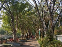-深圳龙潭公园