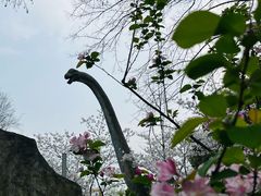 -自然谷恐龙园