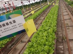 -长春农业博览园