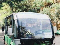 -金鸡山公园