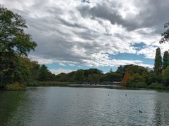 -井之头恩赐公园