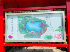 -莲花池公园
