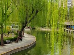 -团结湖公园