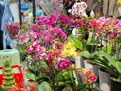 -盒马鲜生(馥邦国际店)