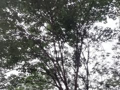 -北京老门框爆肚涮肉馆(锦业路店)