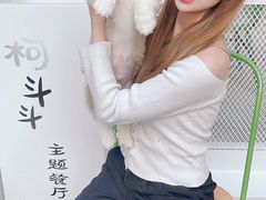 -柯斗斗主题餐厅·狗咖·围炉煮茶·茶饮(国瑞升平里店)