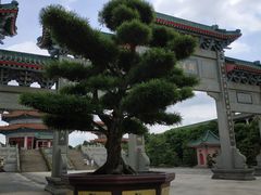 -广东圆玄道观
