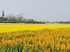 -中国天府农业博览园