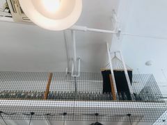 -yes or no(南部商务区店)