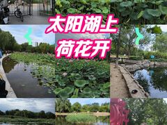 -太阳宫公园