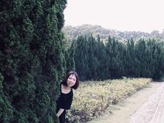 -南沙蒲洲花园