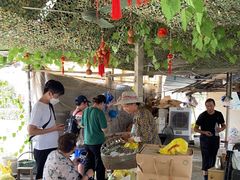 -马陆小张葡萄园农家乐