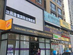 -宠爱国际动物医院· 猫科· 外科·中兽医(长白店)