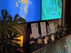 -OMSPA(盛景尚峰店)