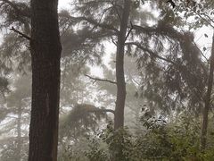 -敬亭山风景名胜区