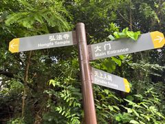 -深圳仙湖植物园