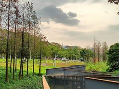 -怡海公园(桂城街道)